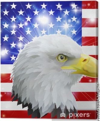 L'aigle américain